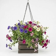 AMADEA Drevený závesný obal na kvetináč tmavý, 27x27x21 cm, český výrobok