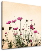 Obraz na stenu KVETY | rôzne rozmery