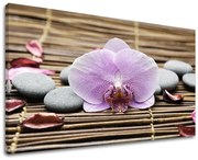 Obraz na stenu FENG SHUI | rôzne rozmery