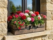 AMADEA Drevený obal na kvetináč tmavý s vtáčikmi, 62x21,5x17cm, český výrobok