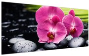 Obraz - Ružové orchidey s palmovým listom (120x50 cm)
