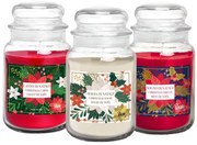 Petali Set 3 MAXI vánočních svíček Petali