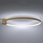 Stropné LED svietidlo Rio 110, 1x LED 70w, 3000k, g