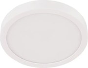 Eglo Fueva stropné svetlo do kúpeľne oceľ 30891