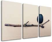 Obraz na stenu INŠPIRÁCIA | rôzne rozmery