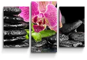 Sablio Obraz - 3-dílný Orchidea na kameňoch - 75x50 cm