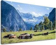 Obraz na stenu KRAJINA KR005E11