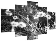 Obraz - Pavučina na lúke (150x105 cm)