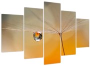 Obraz - Makro kvetu (150x105 cm)