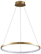 Polux LED Luster na lanku LEA LED/20W/230V 4000K pr. 50 cm zlatá SA2213
