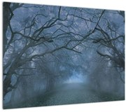 Obraz lesa v hmle (70x50 cm)