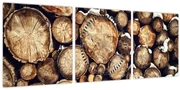 Obraz - Drevo v snehu (s hodinami) (90x30 cm)