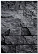 Ayyildiz, Kusový koberec Parma 9250 black, 80x300, šedá, chodba / predsieň