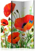 Artgeist Paraván - Country poppies [Room Dividers]