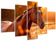 Obraz - Kôň v západe slnka (150x105 cm)
