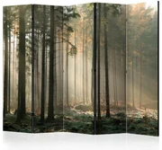 Artgeist Paraván - Foggy November morning [Room Dividers]