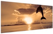 Obraz - Delfín pri západe slnka (120x50 cm)
