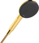 Hansgrohe Raindance Alive Select S ručná sprcha leštený vzhľad zlata 24500990