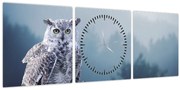 Obraz - Sova snežná (s hodinami) (90x30 cm)