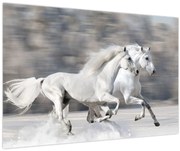 Obraz - Biele kone v zime (90x60 cm)