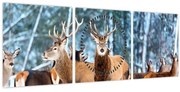 Obraz - Stádo jeleňov (s hodinami) (90x30 cm)