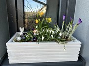 Drevený truhlík s plastovou vložkou - biely Rozměry (cm): 44 x 20, v. 14