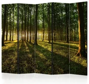 Artgeist Paraván - Morning in the Forest II [Room Dividers]