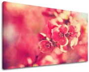 Obraz na stenu KVETY | rôzne rozmery