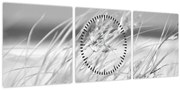 Obraz - Plážová tráva (s hodinami) (90x30 cm)