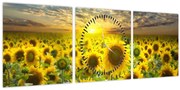 Obraz - Slnečnica pri západe slnka (s hodinami) (90x30 cm)