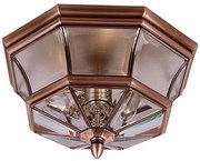 Quoizel QZ-NEWBURY-F-AC - Vonkajšie stropné svietidlo NEWBURY 3xE14/60W/230V IP44