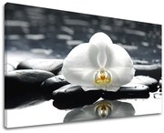 Obraz na stenu FENG SHUI | rôzne rozmery