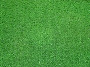 Umelá tráva Blackburn