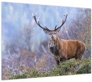 Obraz - Jeleň v krajine (70x50 cm)