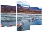 Obraz - Plameniaky (90x60 cm)