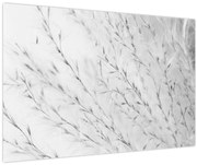 Obraz - Pampas grass N⁰2 (90x60 cm)