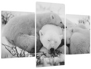 Obraz - Ľadové medvede (90x60 cm)