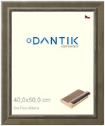 DANTIK rám na obraz 40x50 | Oro Fino stříbrná (Sklo Čiré)