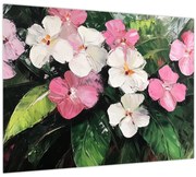 Obraz - Ružové a biele kvety (70x50 cm)