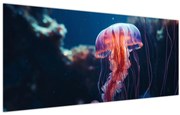 Obraz - Medúzka (120x50 cm)
