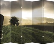 Paraván - Lúka (210x170 cm)