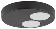Stropné svietidlo BROS 2xGX53/12W/230V čierna