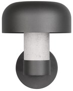 Nástenné vonkajšie svietidlo (výška 24,5 cm) Fraser – Trio