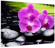 Obraz - Orchidey (70x50 cm)