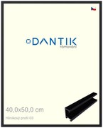 DANTIK rám na obraz 40x50 | ALU Černá matná (Plexi Čiré)