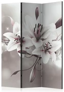Artgeist Paraván - Favourite of Kings [Room Dividers]