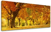 Obraz na stenu PANORÁMA STROMY | rôzne rozmery