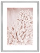 Plagát Pastel Pink II