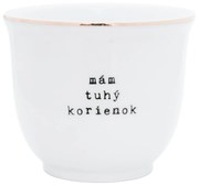 Bella Rose Porcelánový obal na kvetináč Mám tuhý korienok 10 cm - SK