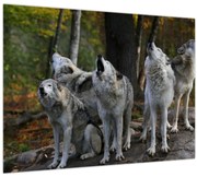 Obraz - Vlci na skale (70x50 cm)